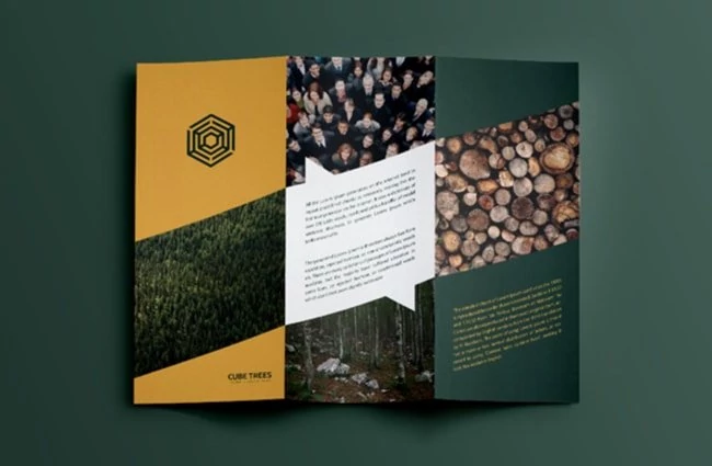 paulownia flyer design
