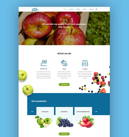 vija product web design